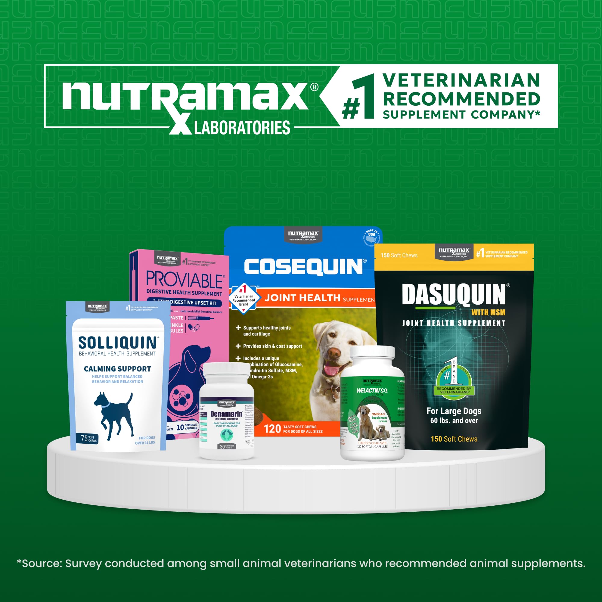 Nutramax Denamarin lifestyle photo of a happy large dog symbolizing supportive liver wellness