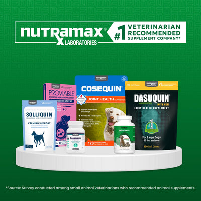 Nutramax Denamarin lifestyle photo of a happy large dog symbolizing supportive liver wellness