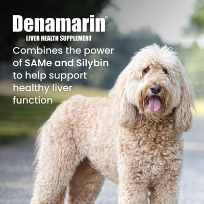 Nutramax Denamarin single coated tablet close-up highlighting smooth coating and easy administration