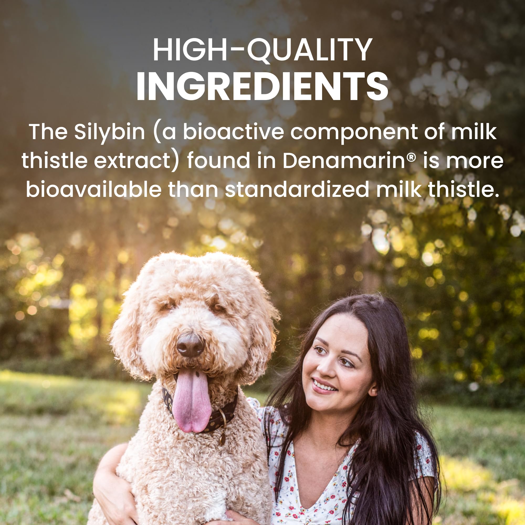 Nutramax Denamarin tablet in hand to display scale for large dog dosing convenience