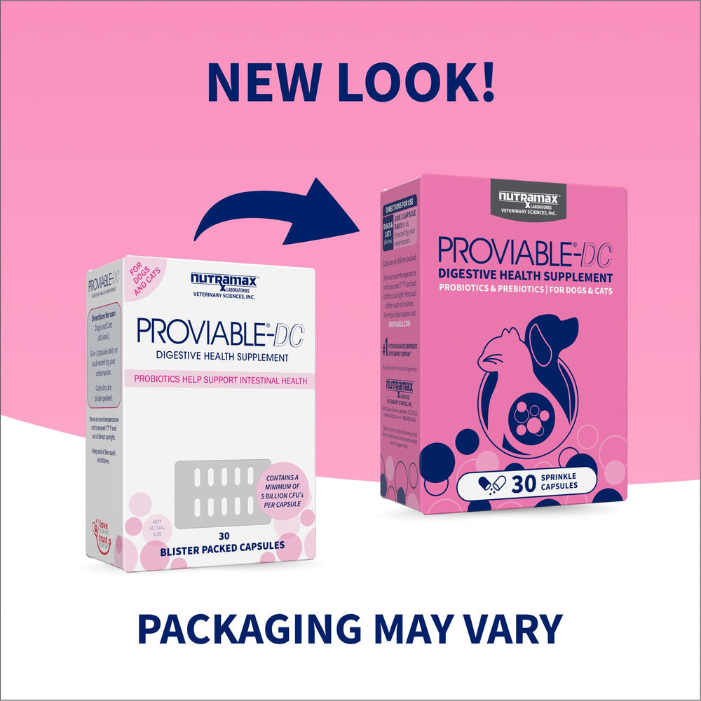 Nutramax Proviable cápsula abierta con polvo fino que facilita mezcla
