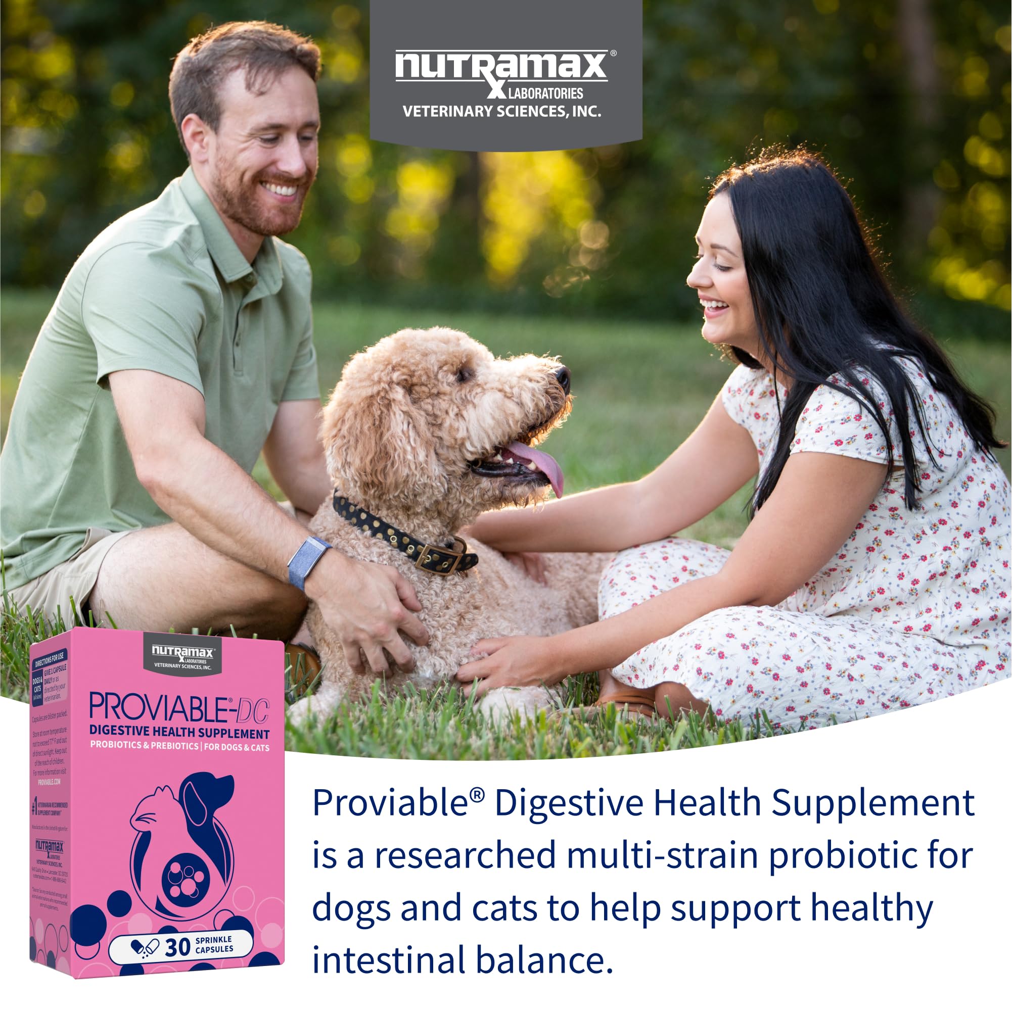 Nutramax Proviable espolvoreado sobre croquetas para administración sencilla
