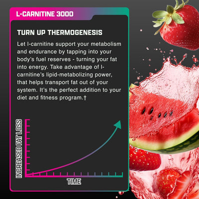 Comparación de tamaño Nutrex Research L Carnitine 3000 en la mano para escala