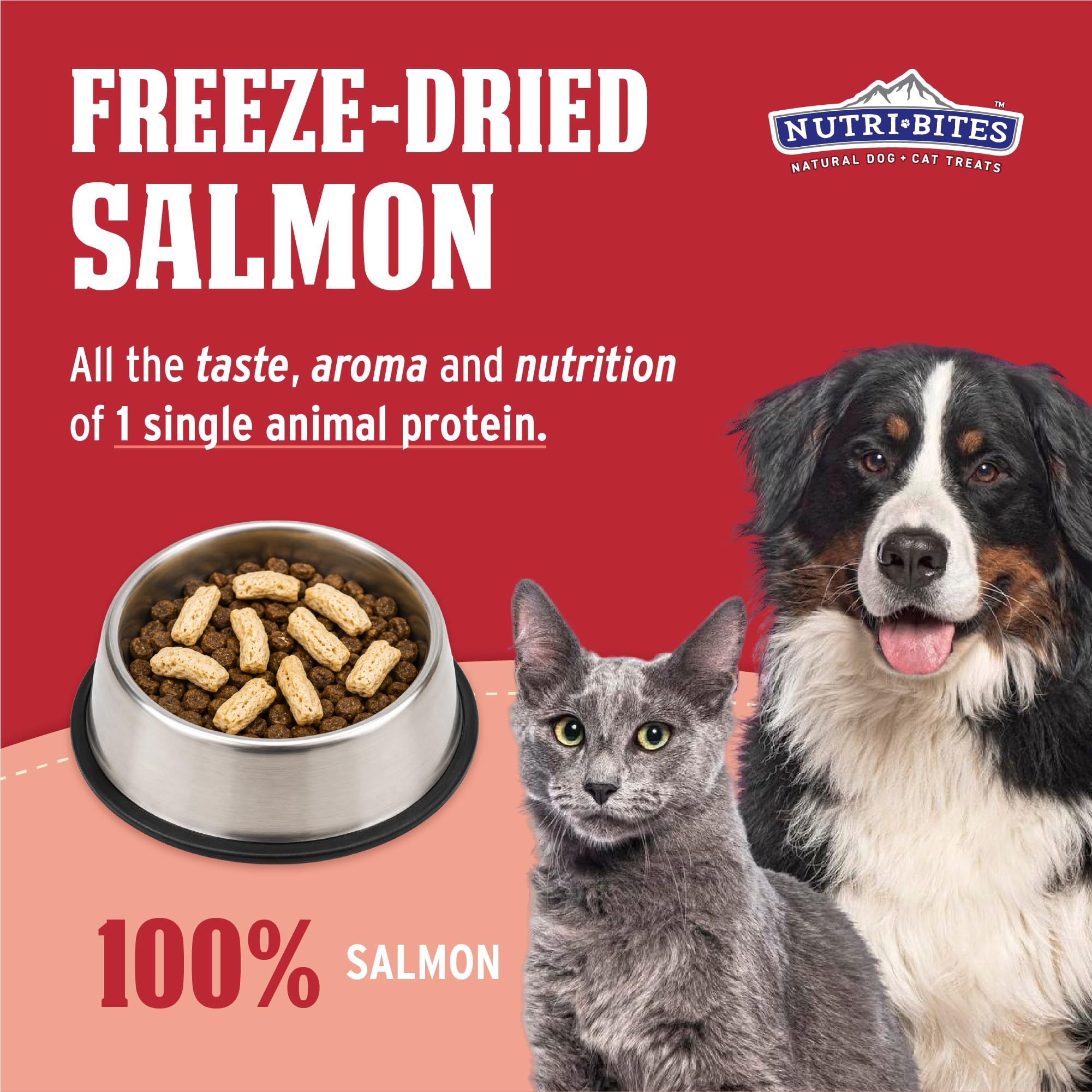 Nutri Bites textura cercana del salmón liofilizado, conserva nutrientes