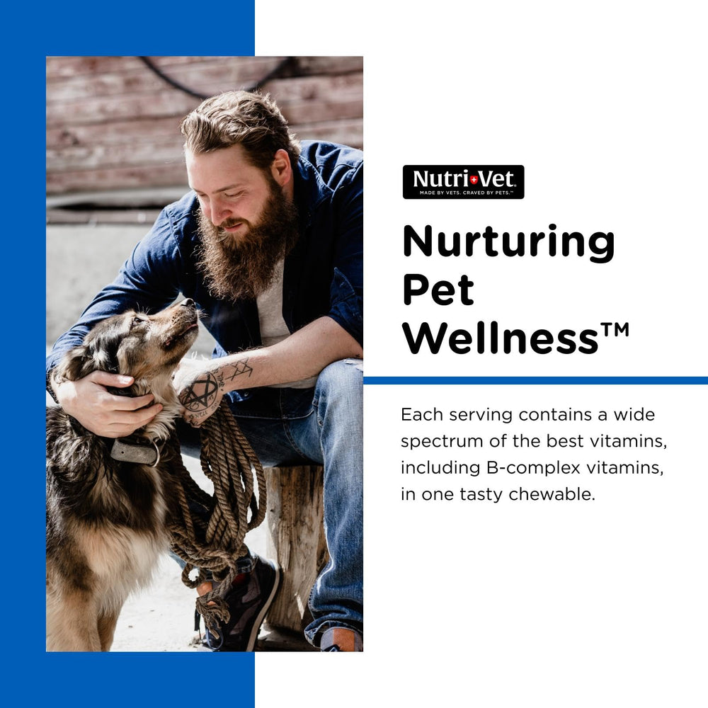 Nutri-Vet textura masticable mostrando aspecto apetecible y práctico