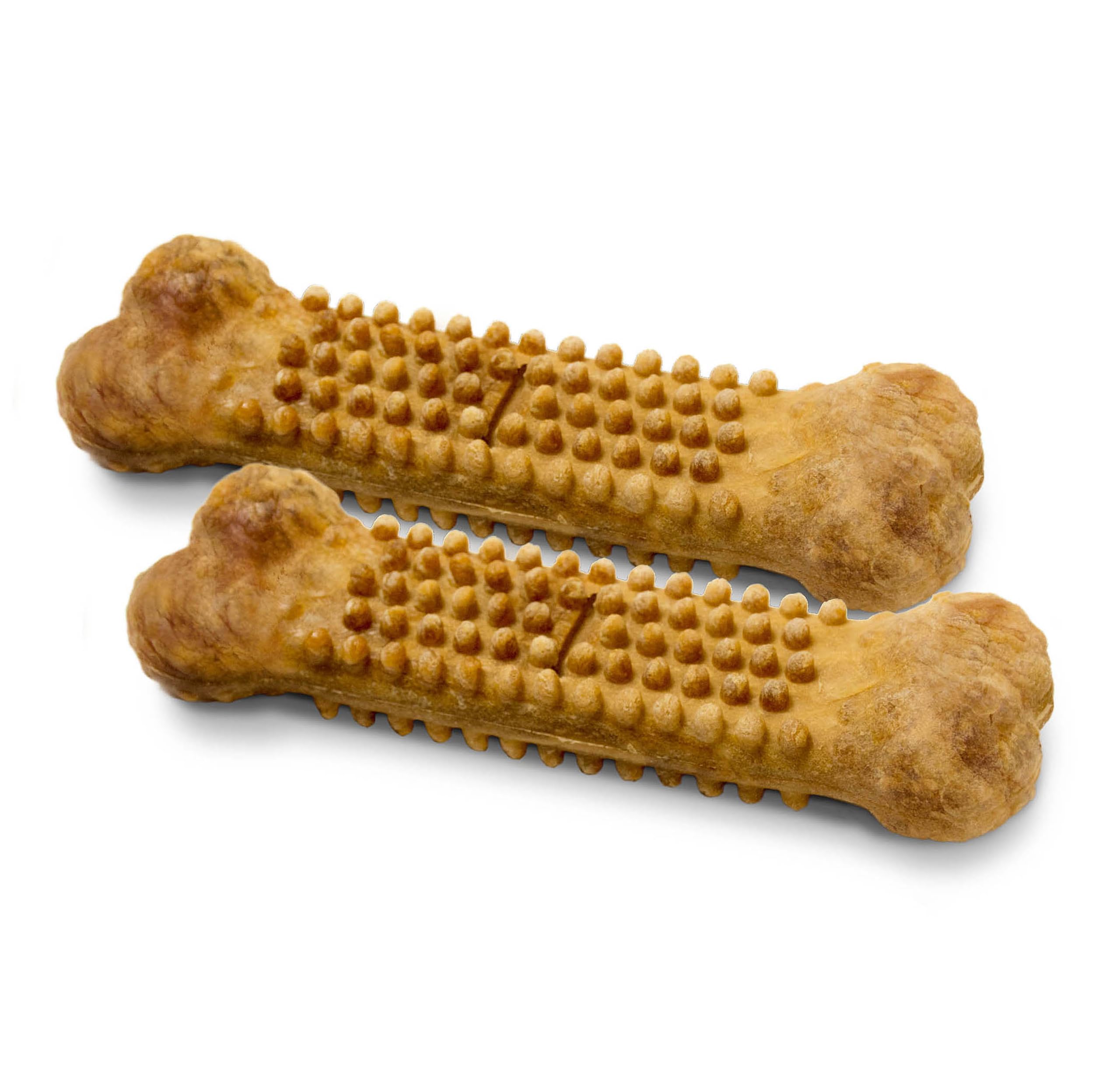 Nylabone perro masticando satisfecho, promueve entretenimiento y limpieza dental