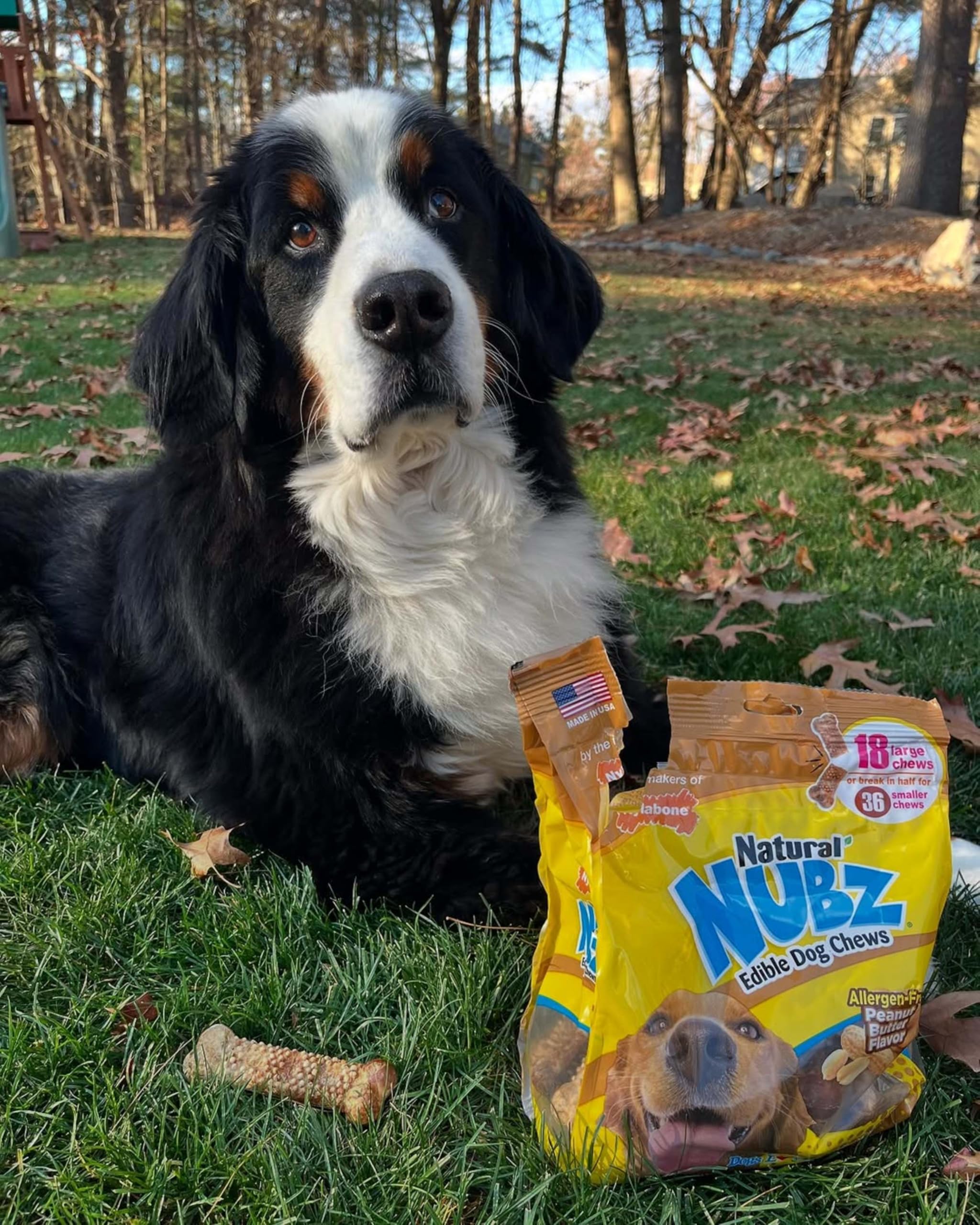 Nylabone detalle del punto de quiebre que permite porciones