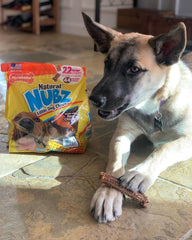 Nylabone primer plano de textura que ayuda a frotar dientes y reducir placa