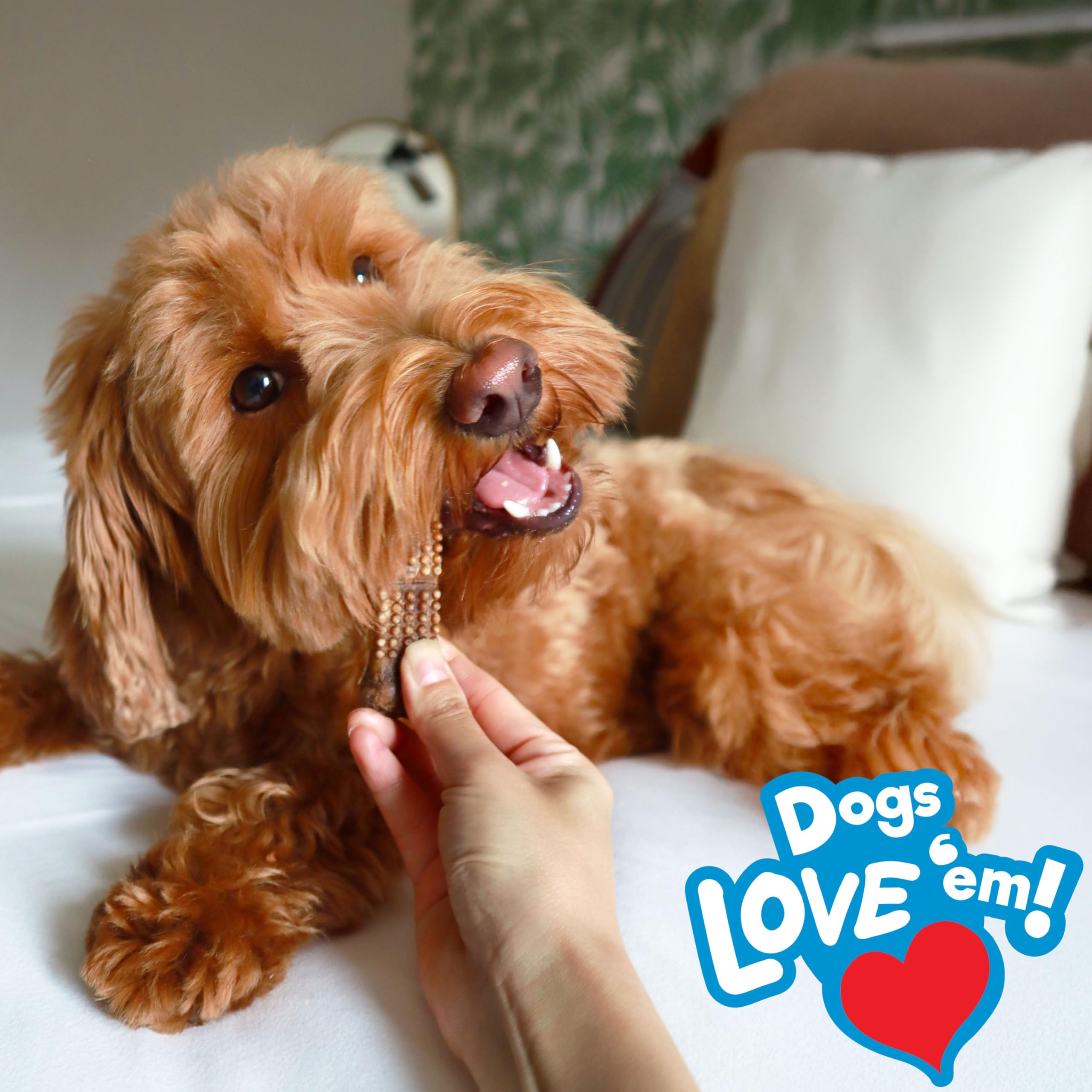 Nylabone Nubz trozos en mano destacando punto de quiebre y control de porciones