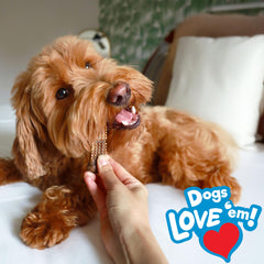 Nylabone Nubz trozos en mano destacando punto de quiebre y control de porciones