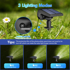 NYMPHY luz solar clavada en césped iluminando sendero con eficacia