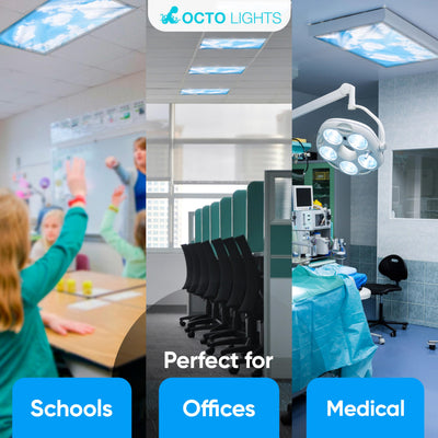 OCTO LIGHTS therapy room setup showing sensory-friendly atmosphere