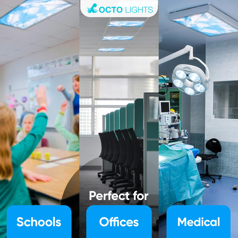 OCTO LIGHTS therapy room setup showing sensory-friendly atmosphere