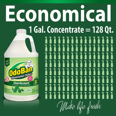 OdoBan aplicado en tapicería y alfombra eliminando olores y refrescando fibras