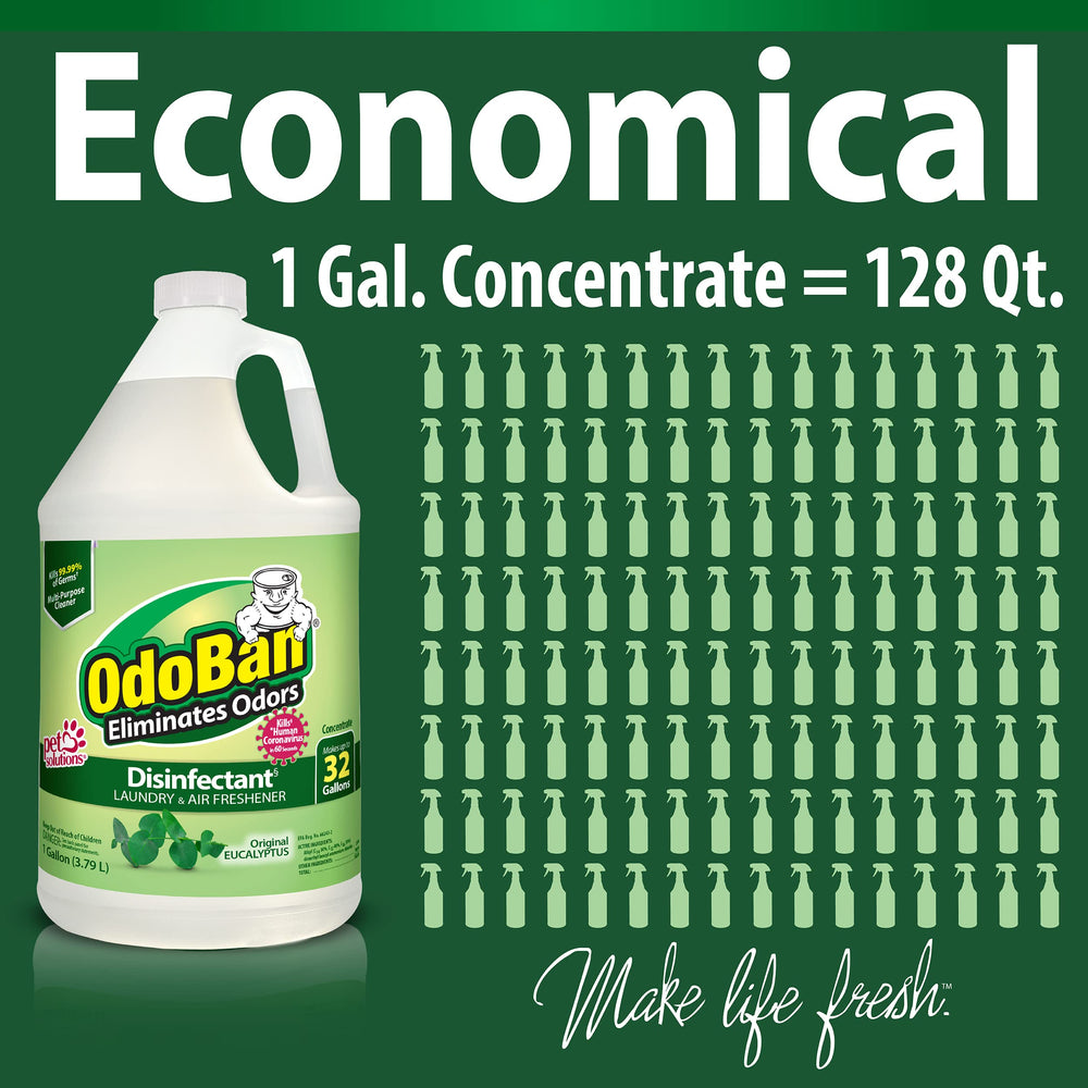 OdoBan aplicado en tapicería y alfombra eliminando olores y refrescando fibras