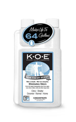 Odorcide envase frontal 16 oz mostrando etiquetado y aroma fresco