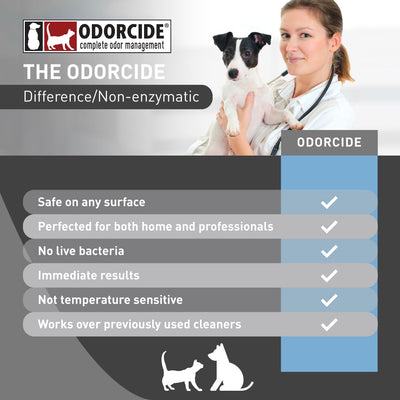 odorcide K.O.E. galón junto a objeto cotidiano para visualizar escala y rendimiento