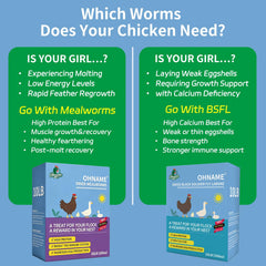 OHNAME comedero con larvas para aves, beneficio de alimentación atractiva