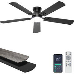 Ohniyou front view black fan showing sleek low-profile design and improved airflow