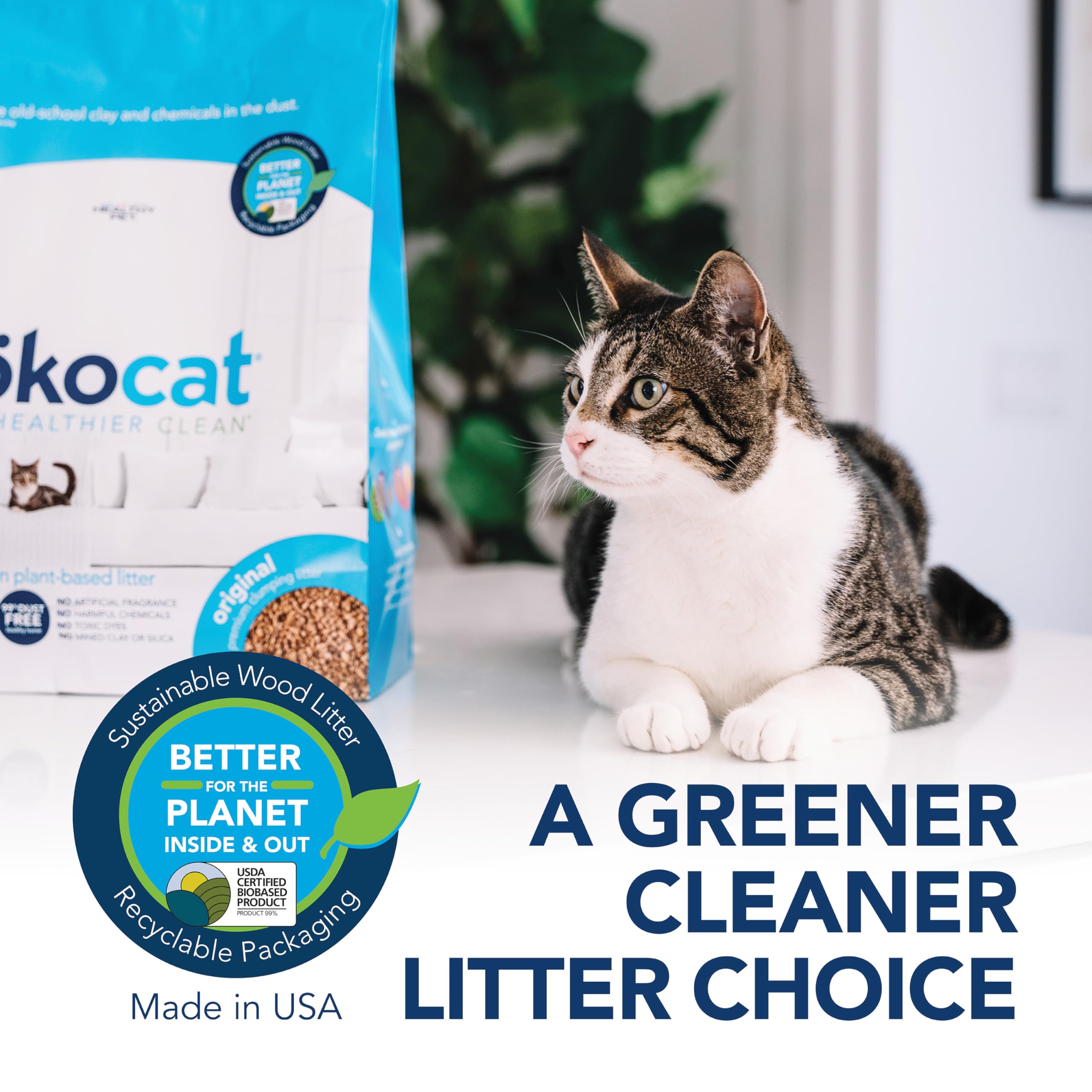 ÖKOCAT ambiente doméstico con arenero limpio y hogar sin polvo