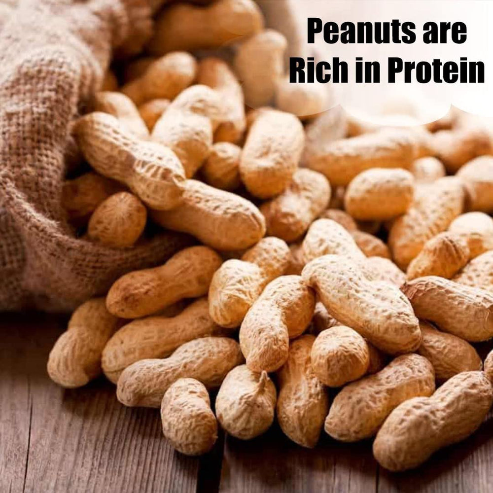 Old Potters peanuts arranged on a rustic table for lifestyle and quality feel