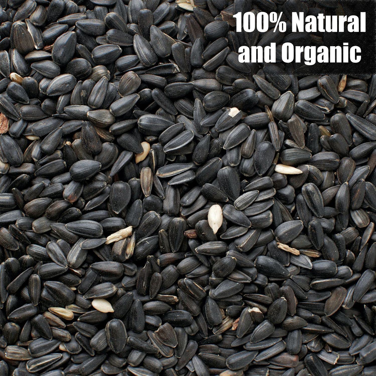 Old Potters primer plano de semillas negras mostrando textura natural y calidad nutritiva