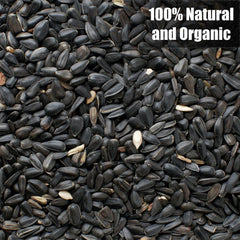 Old Potters primer plano de semillas negras mostrando textura natural y calidad nutritiva