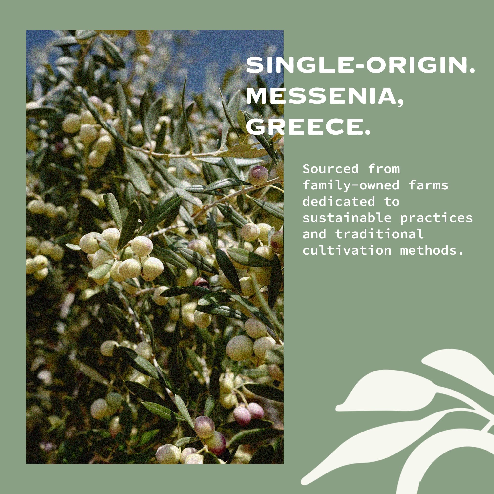 OLIVEA aceitunas Koroneiki recién cosechadas con beneficio de frescura
