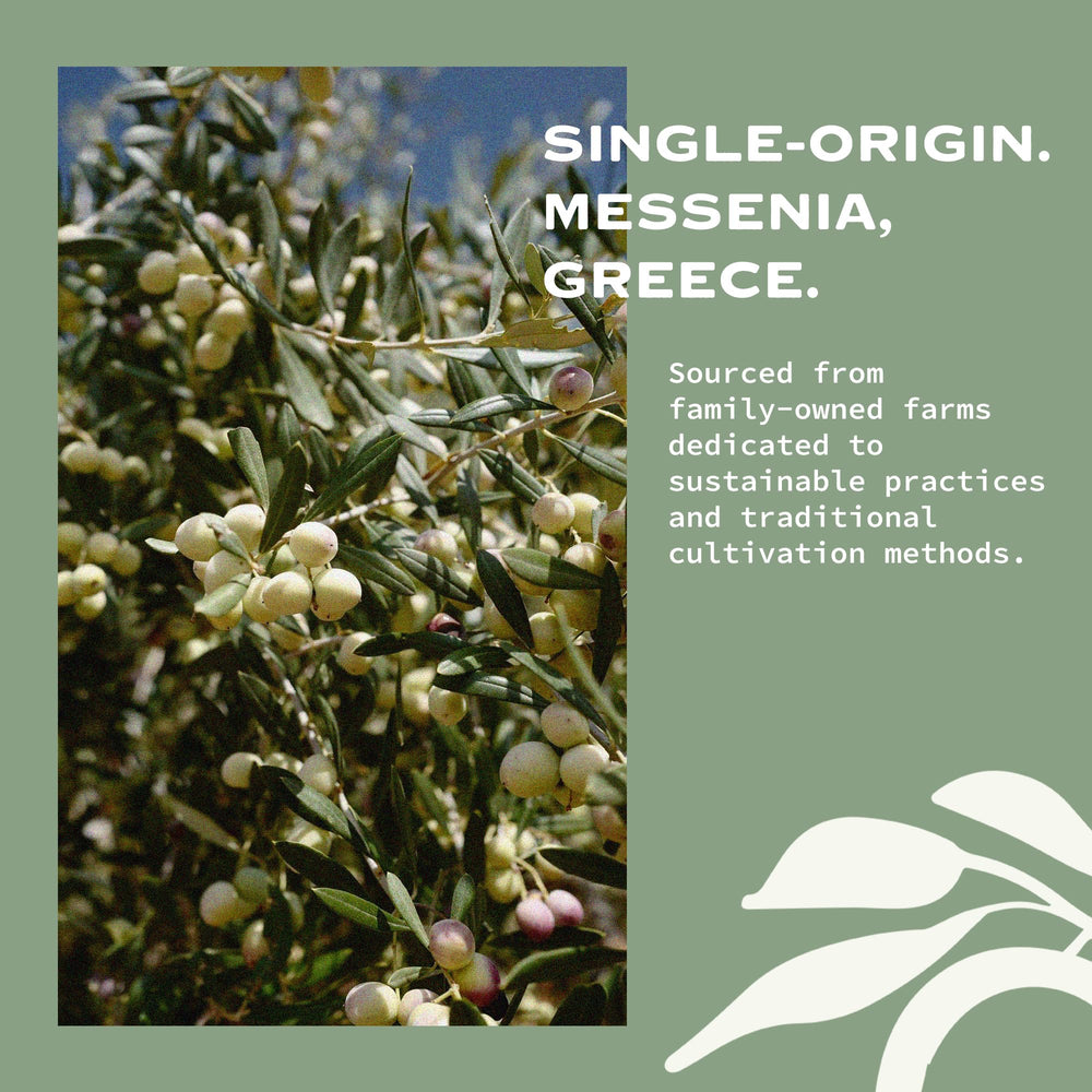 OLIVEA aceitunas Koroneiki recién cosechadas con beneficio de frescura