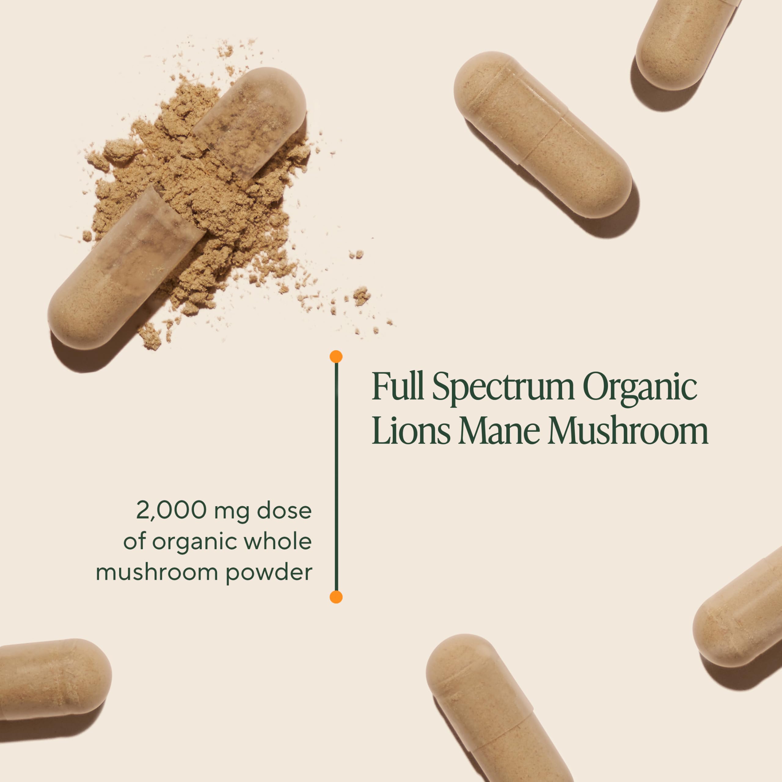 OM MUSHROOM SUPERFOOD detalle de cápsulas vegetales, dosificación precisa