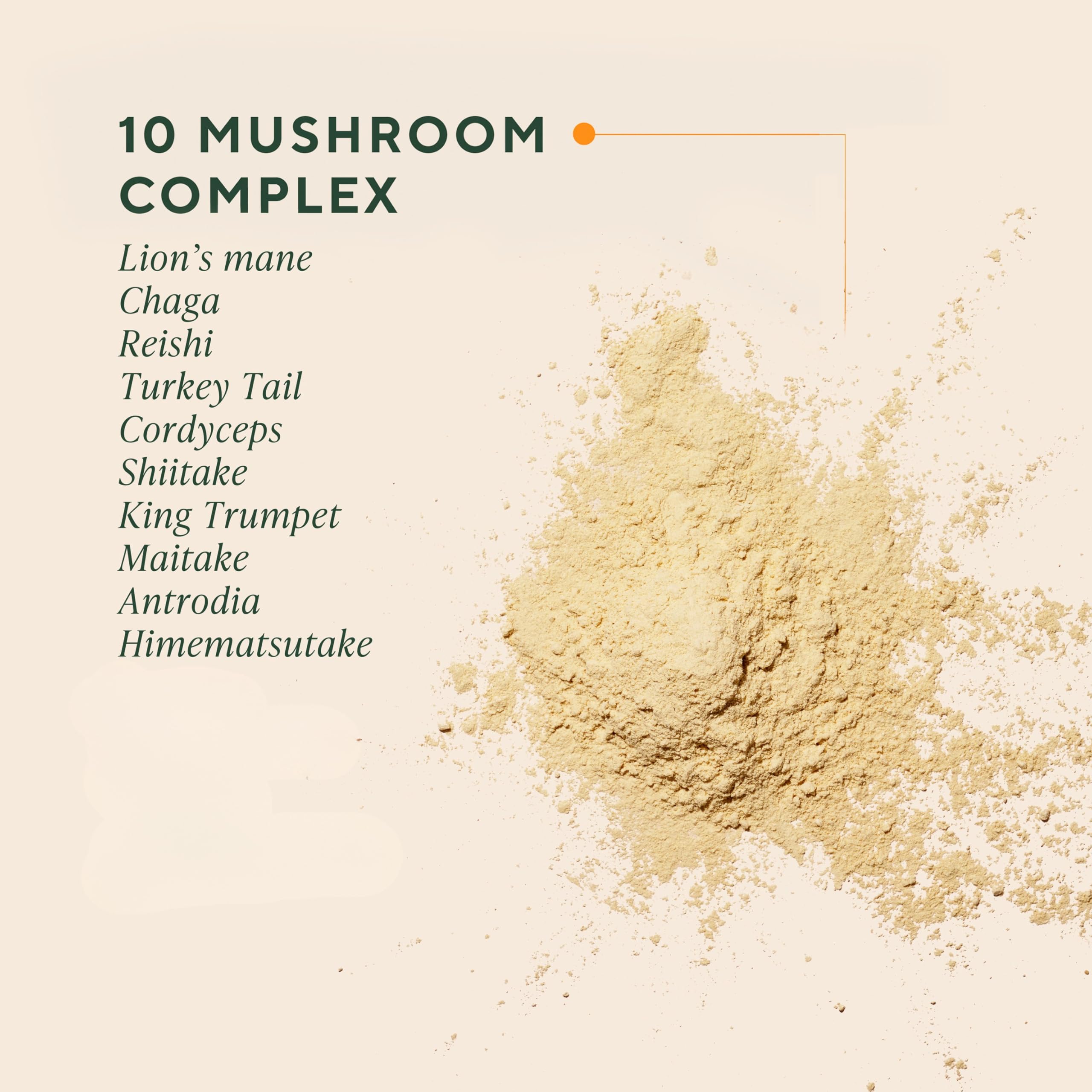 OM MUSHROOM SUPERFOOD textura del polvo de vainilla, mezcla cremosa y fácil disolución