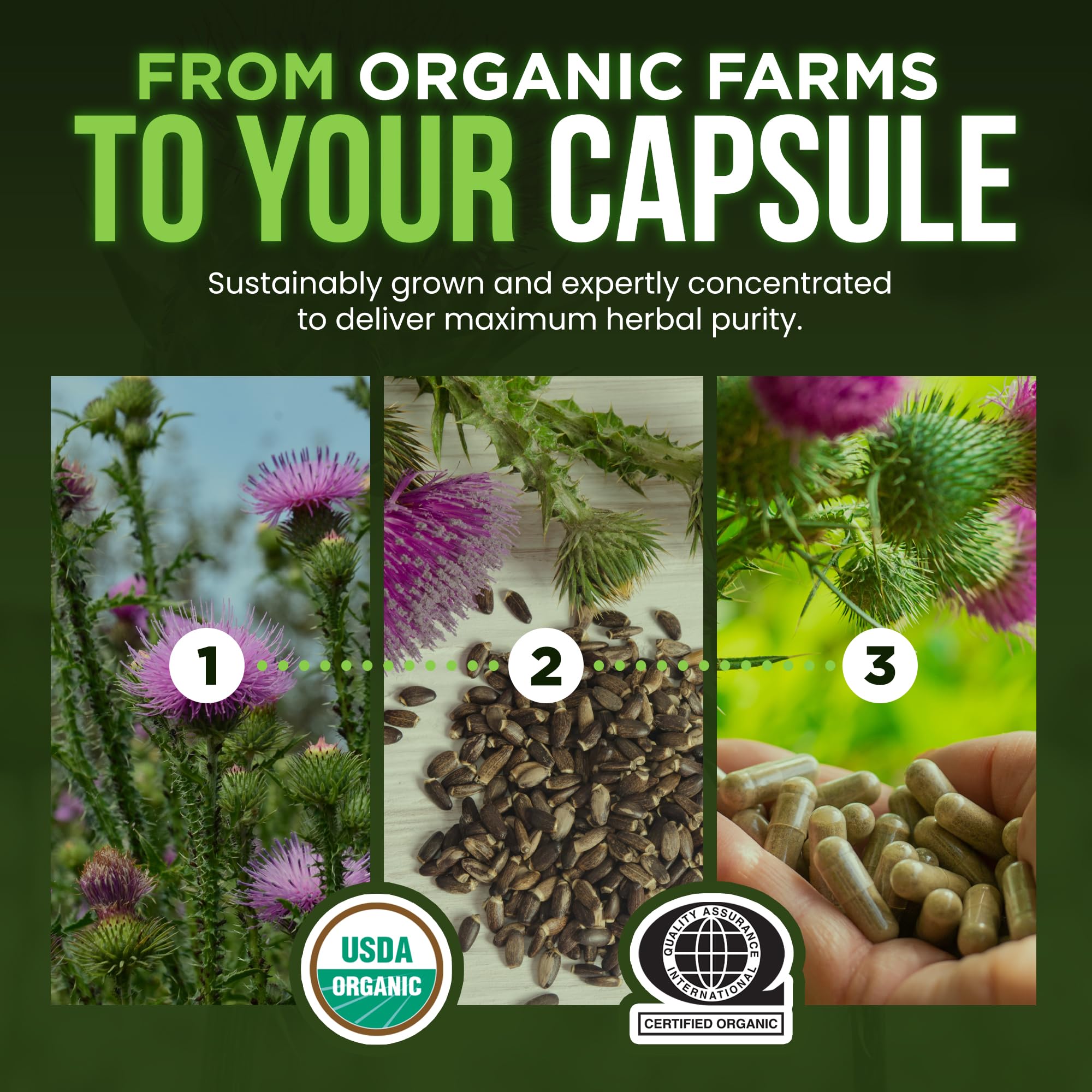 OmniBiotics cápsula en mano ilustrando dosis diaria conveniente