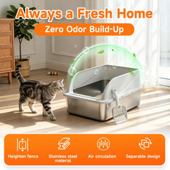 OneBug entrada inclinada con escalón que reduce arena en las patas