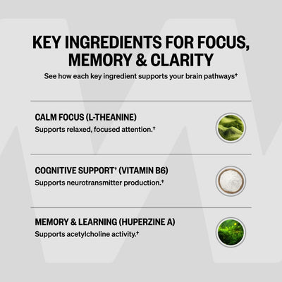ONNIT Alpha Brain next to smartphone showing scale and daily use convenience