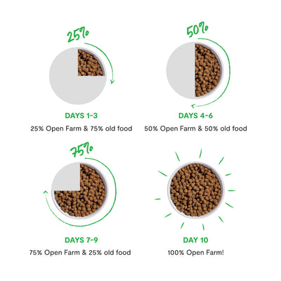 Dog eating Open Farm outdoors showing real-food nutrition benefit