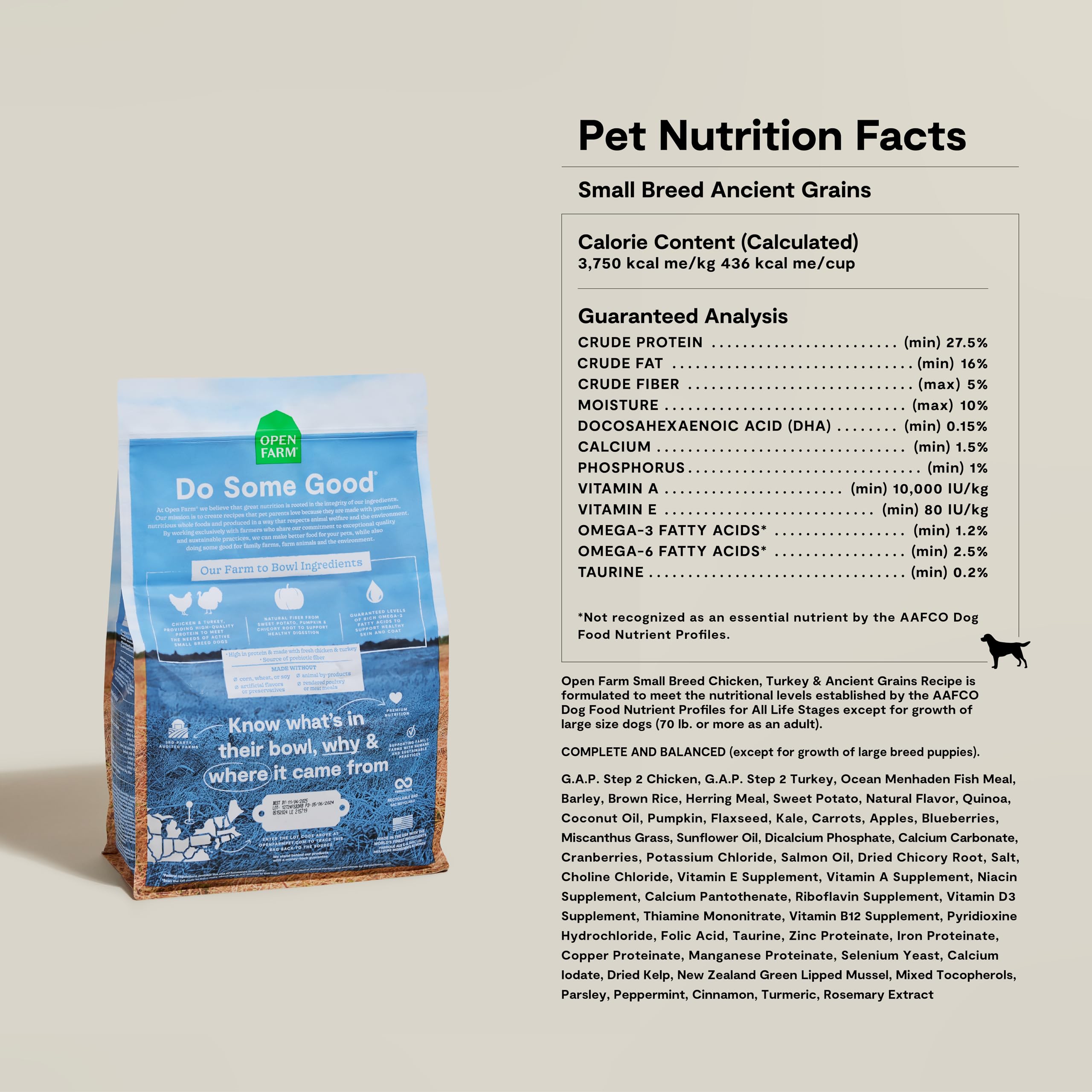 Perro pequeño disfrutando Open Farm Ancient Grains en entorno doméstico saludable