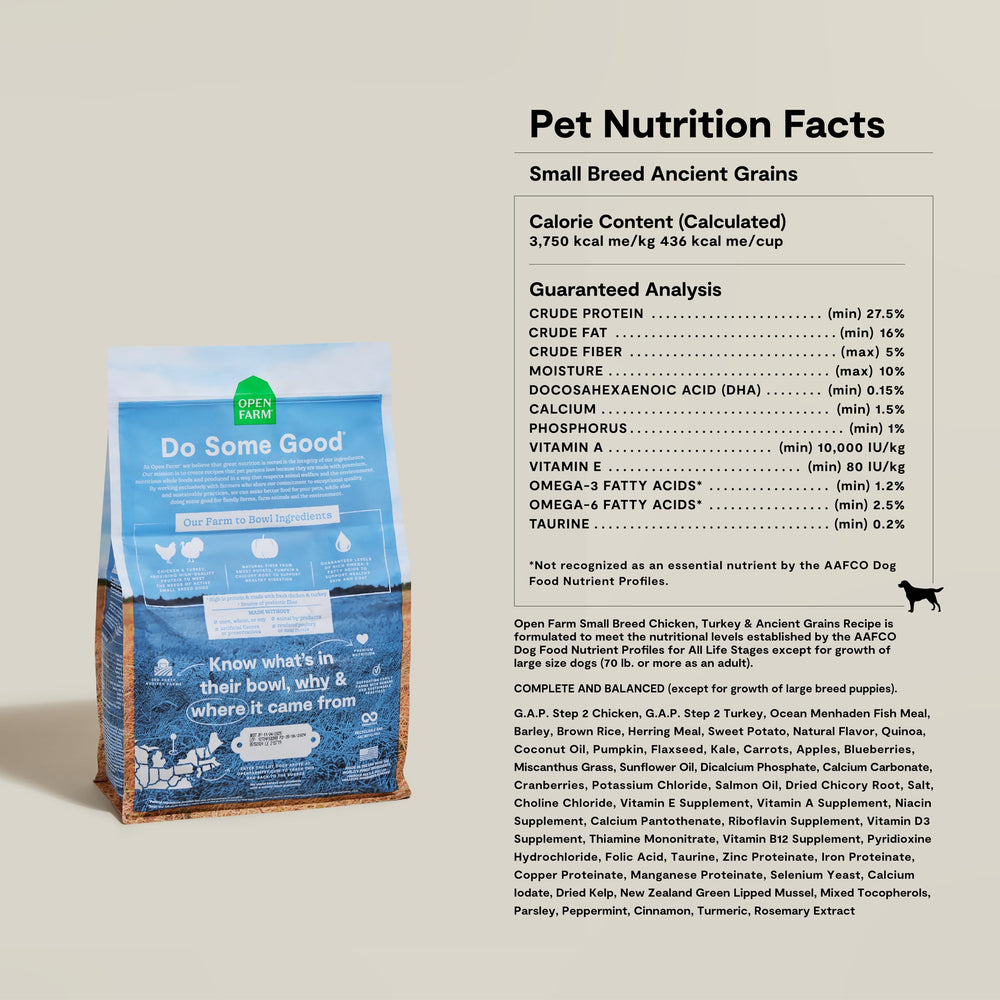 Perro pequeño disfrutando Open Farm Ancient Grains en entorno doméstico saludable