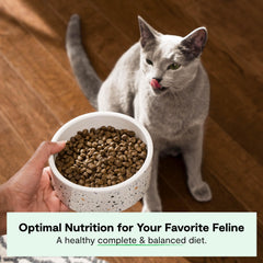 Open Farm close-up of kibble texture highlighting crunchy, protein-rich pieces