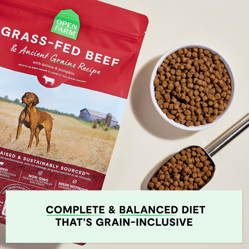 Open Farm kibble close-up highlighting texture and digestibility