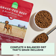 Open Farm kibble close-up highlighting texture and digestibility