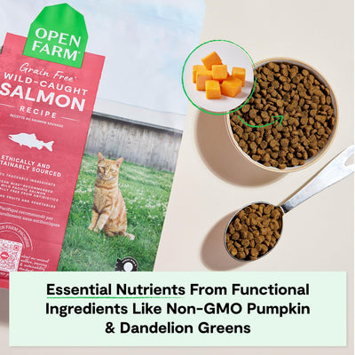 Open Farm kibble poured into bowl demonstrating portion and easy serving