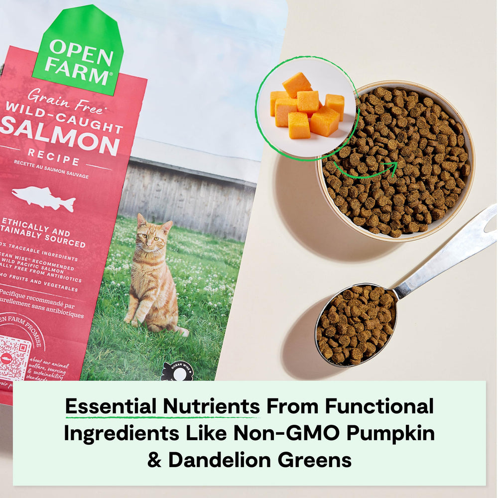 Open Farm kibble poured into bowl demonstrating portion and easy serving