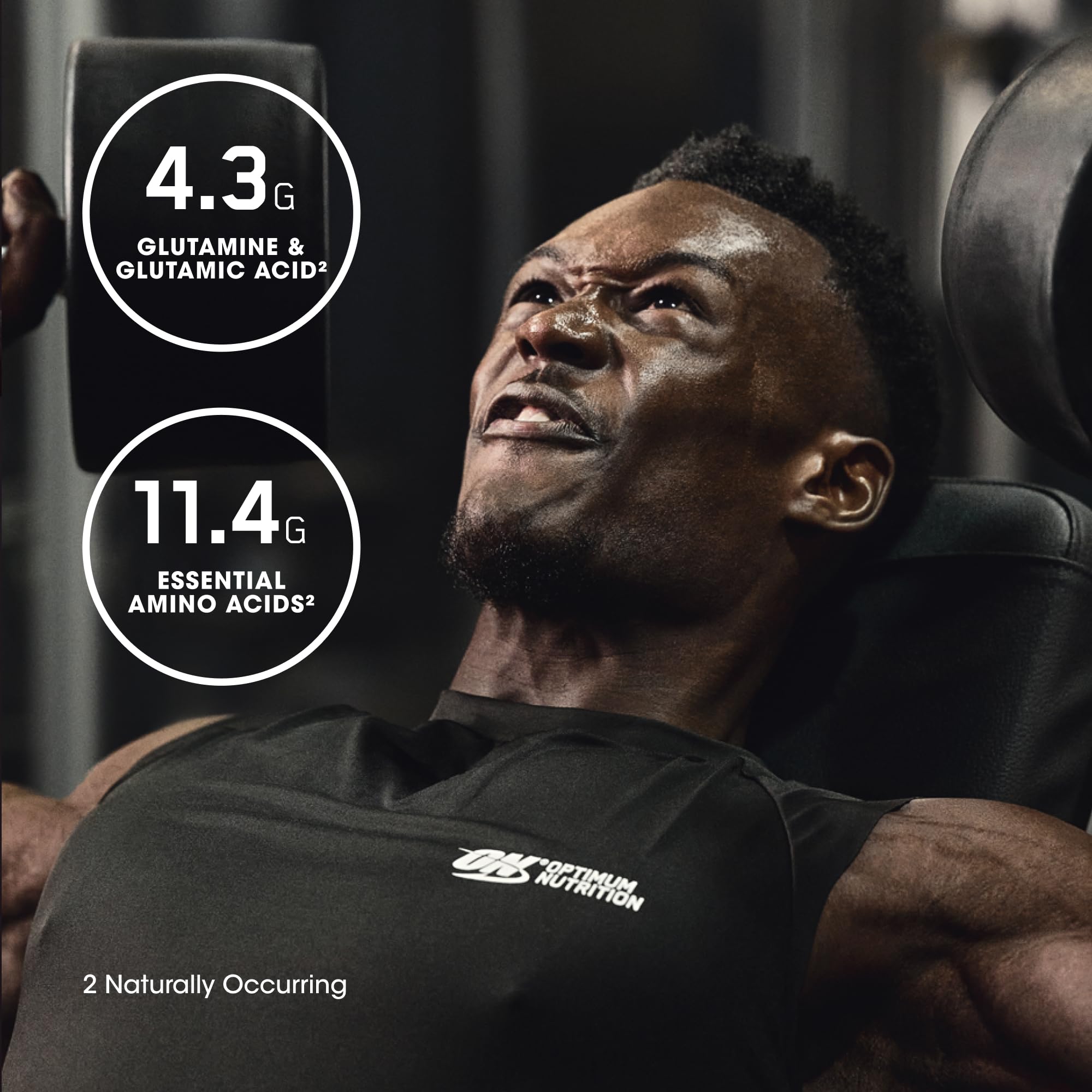 Optimum Nutrition ilustración de proceso hidrolizado destacando absorción rápida