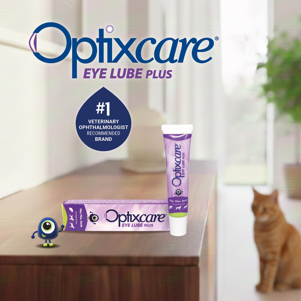 OptixCare uso del gel en un gato demostrando alivio y protección
