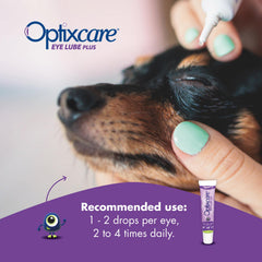 OptixCare aplicación segura del gel en el ojo de un perro para comodidad