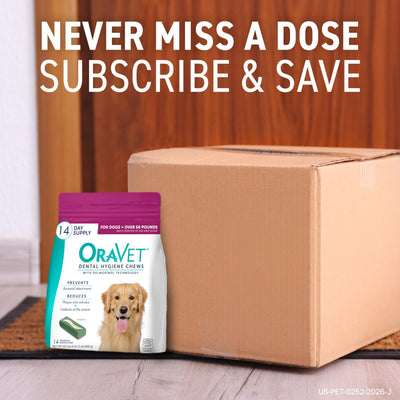 OraVet ambiente hogareño con perro y masticable para rutina diaria