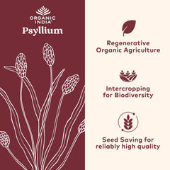ORGANIC INDIA cápsula en mano para comparar tamaño y dosis conveniente