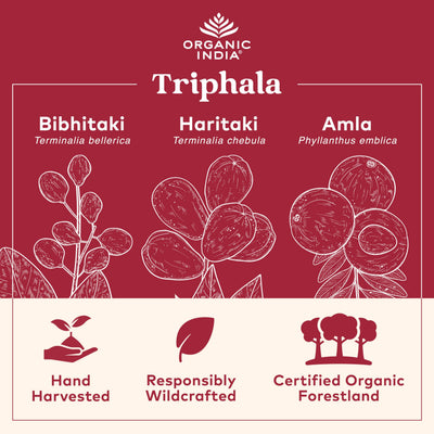 close-up of Triphala capsules showing texture and easy-to-swallow size by ORGANIC INDIA