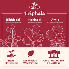 close-up of Triphala capsules showing texture and easy-to-swallow size by ORGANIC INDIA