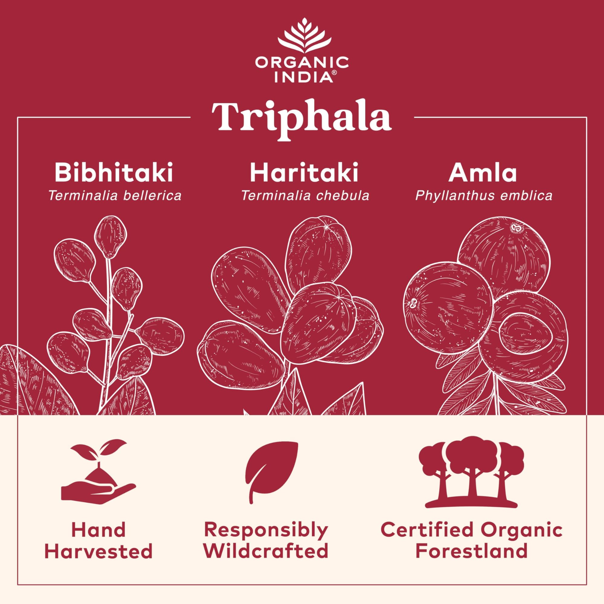 Comparación de escala con envase de 90 cápsulas de ORGANIC INDIA para duración